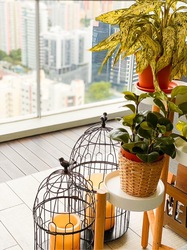 Pavilion 11 (D11), Condominium #237884201